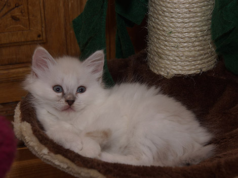 Sophie am 13.7.2014